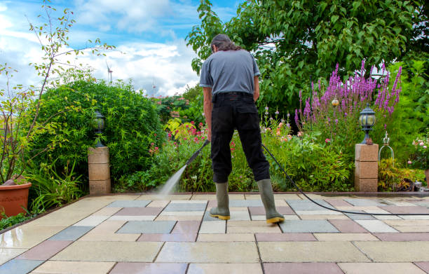 Best Driveway Cleaning and Restoration in Nipomo, CA